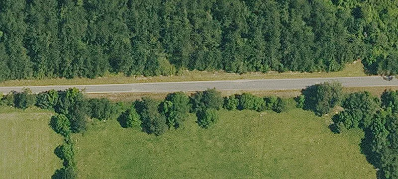 Cleared Partially Fenced Land