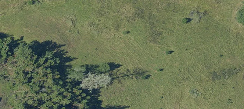 Equestrian and Cattle Ranch Land