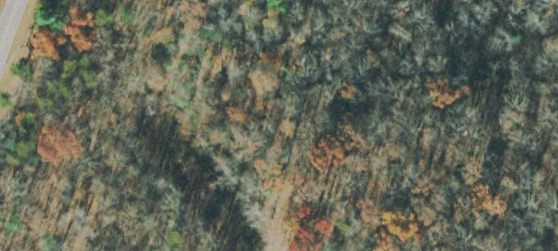 Oversized Residential Land Lot