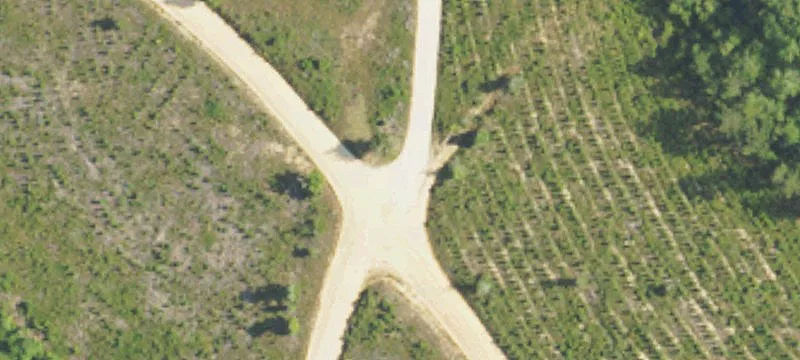 Wooded Hunting Tract with Creek