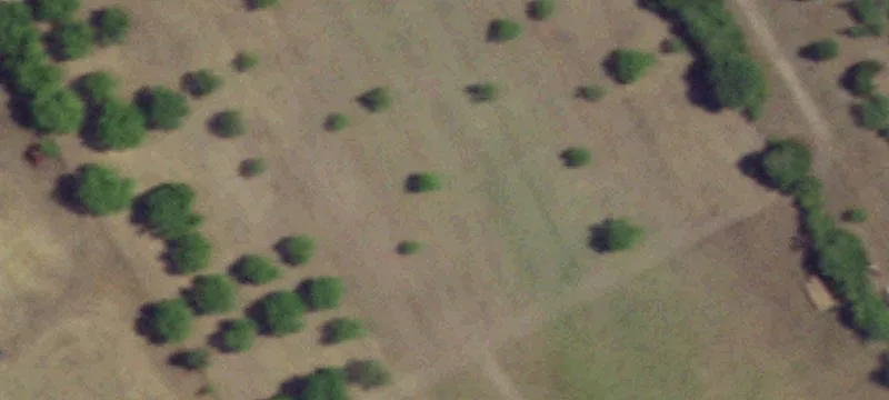 Improved Farmland with Stock Tank