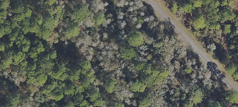 Residential Development Lot