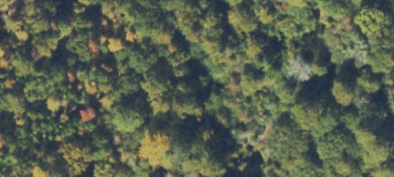Recreation Land with Road Frontage