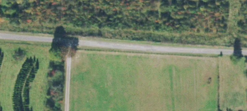 Buildable Recreational Hunting Tract