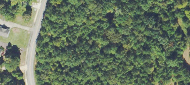 Wooded Residential Home Lot