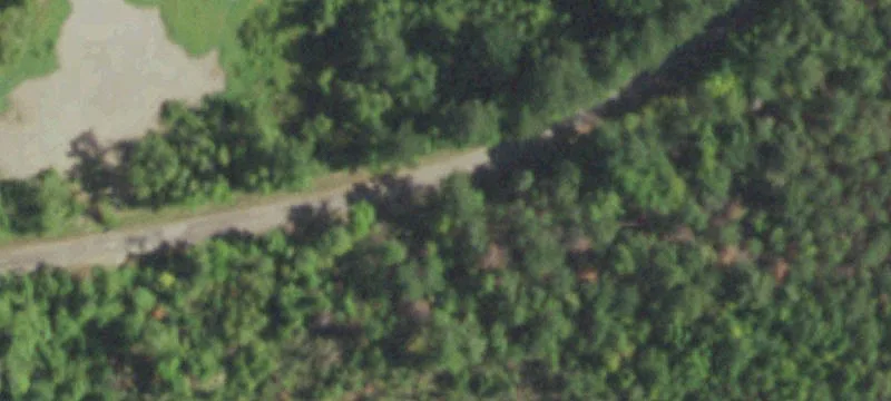 Wooded Hunting Land Tracts