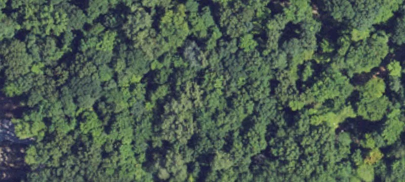 Residential Land with Wooded Setting