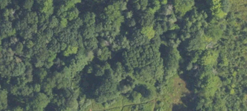 Vacant Land with Wooded Acres