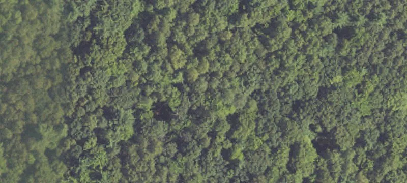 Wooded Residential Development Land