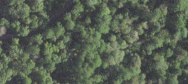 Unrestricted Fenced Equestrian Acreage