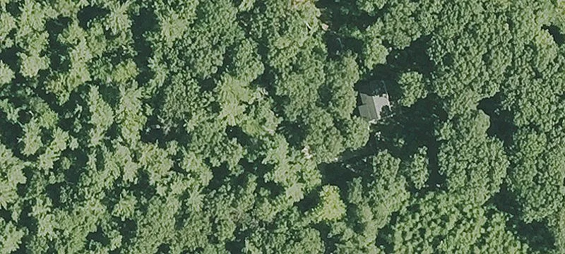 Cleared Residential Building Lot