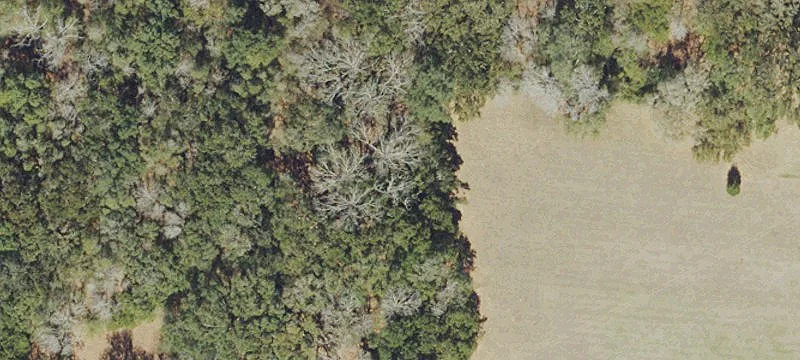 Residential Land with Oak Trees