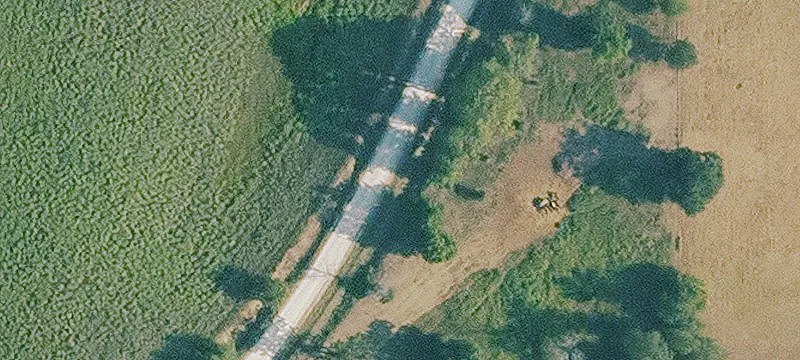 Agricultural Land with Timber