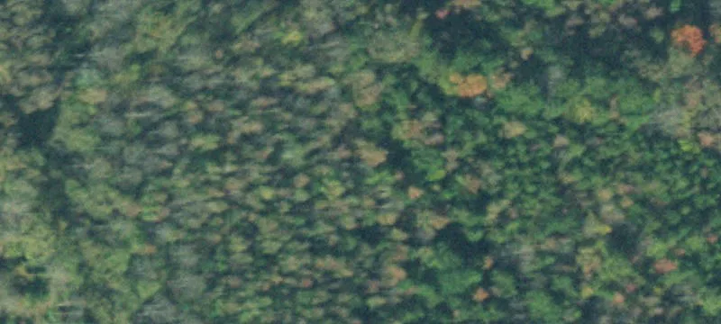 Agricultural Land with Homes
