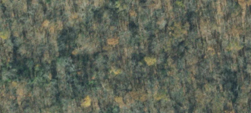Recreational Acreage with Trails