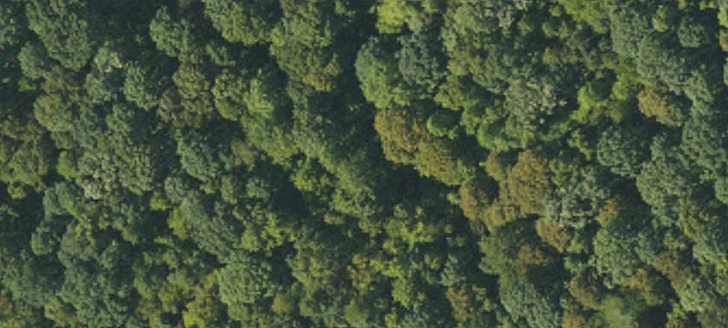 Build-Ready Residential Homesite
