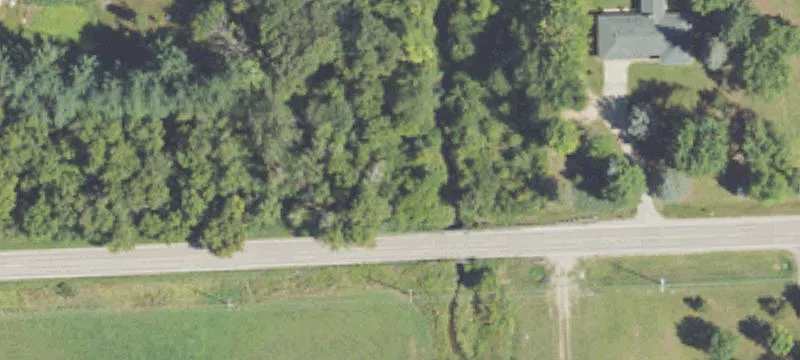 Christmas Tree Farm and Hunting Land