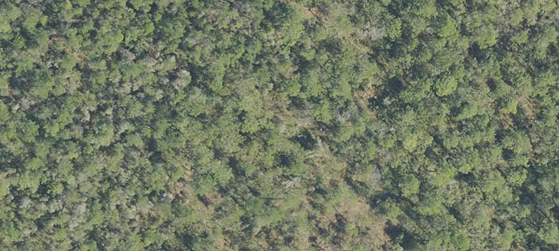 Wooded Residential Land Lot