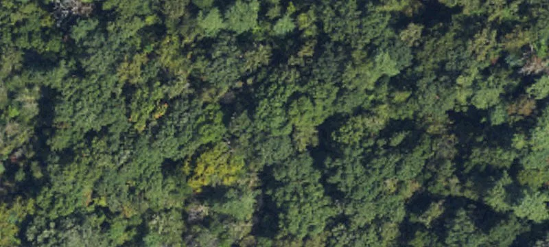Wooded Mountain Home Lot