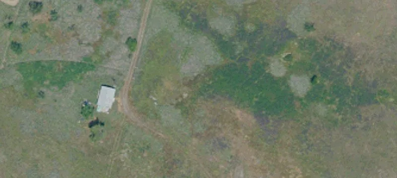 Ranch Land with Walnut Orchard