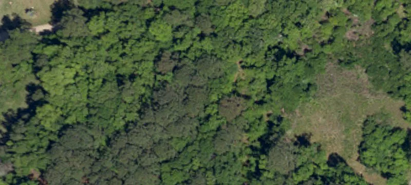 Residential Homesite Land