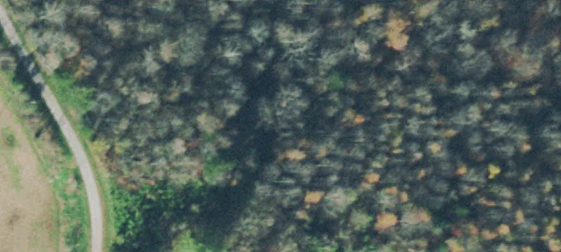 Ranch-Style Farmland with Creek