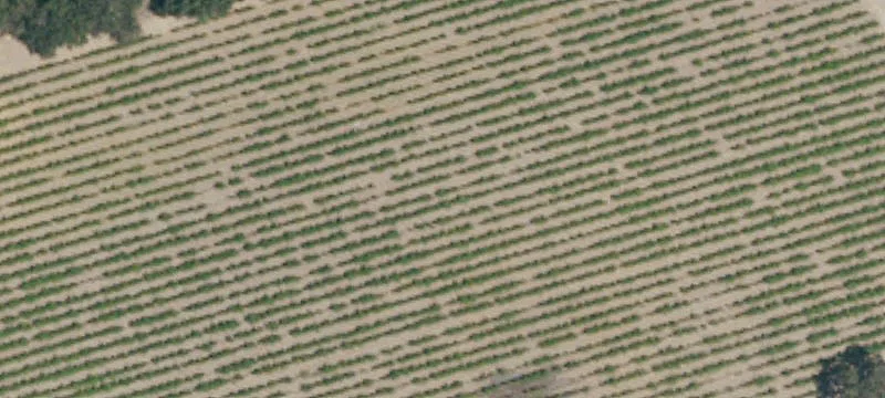 Multi-Parcels Agricultural Land