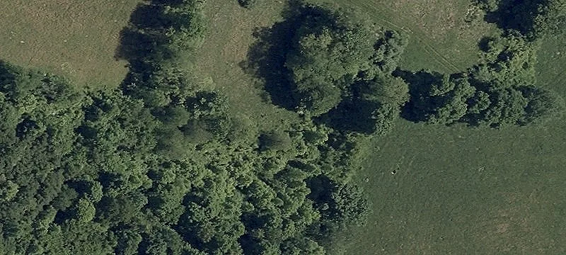 Rolling Agricultural Land Parcel
