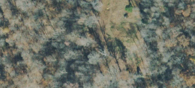 Private Wooded Land Tract
