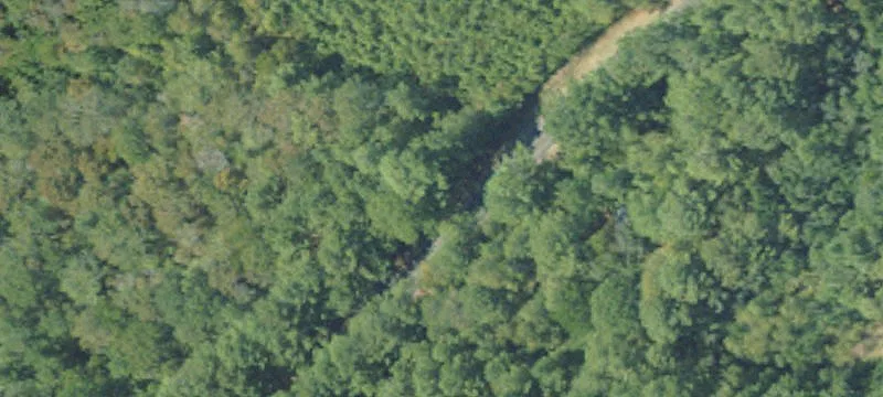 Recreational Land with Pasture
