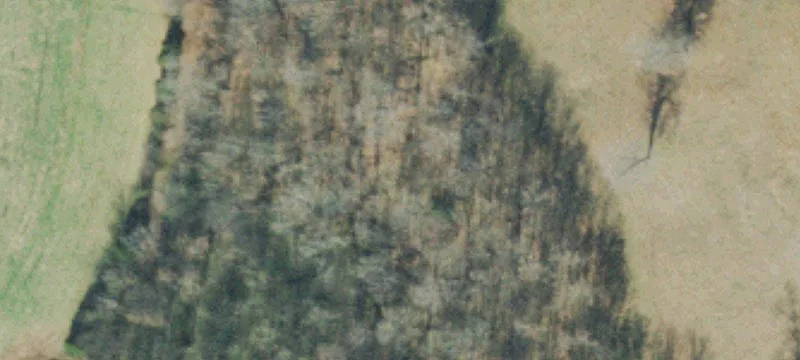 Farmland with Creek Frontage