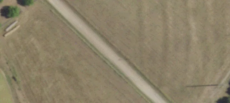Cattle Ranch and Hay Pasture