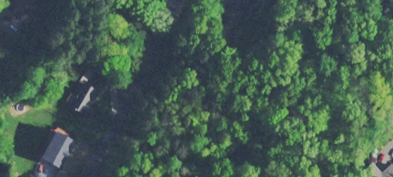 Wooded Cul-de-Sac Home Lot