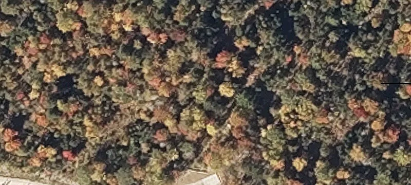 Residential Building Lot with Views