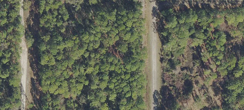 Hunting Land Parcel
