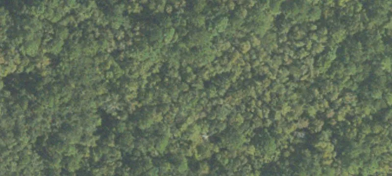 Highway-Fronting Land Tract