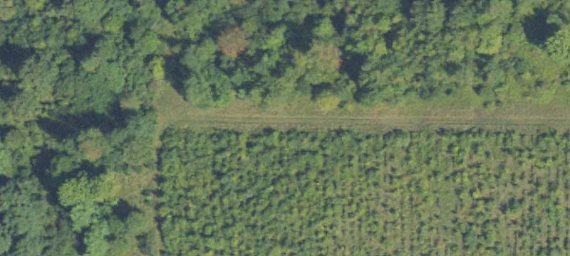Agricultural Land with Road Frontage