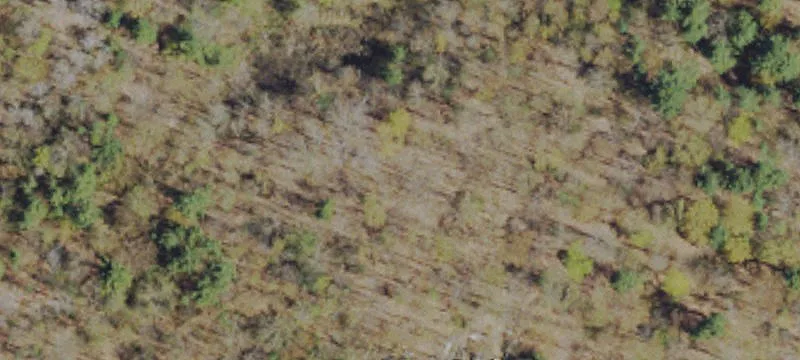 Flex Warehouse on Wooded Acreage