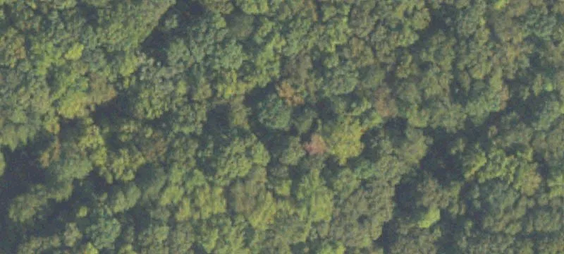 Zoned Agricultural Land Parcel