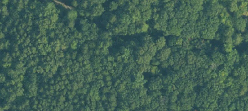 Waterfront Estate Land Parcel