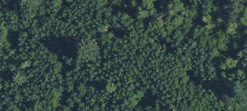 Zoned EFU Farm Property with Infrastructure