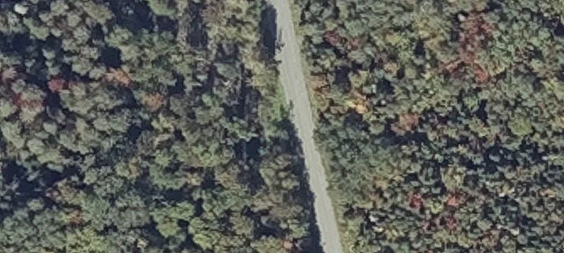 Partially Cleared Residential Building Lot