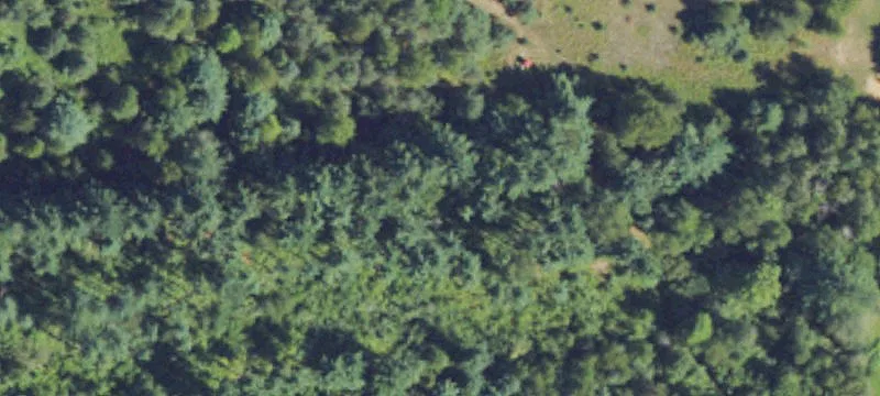 Recreational Hunting Tract