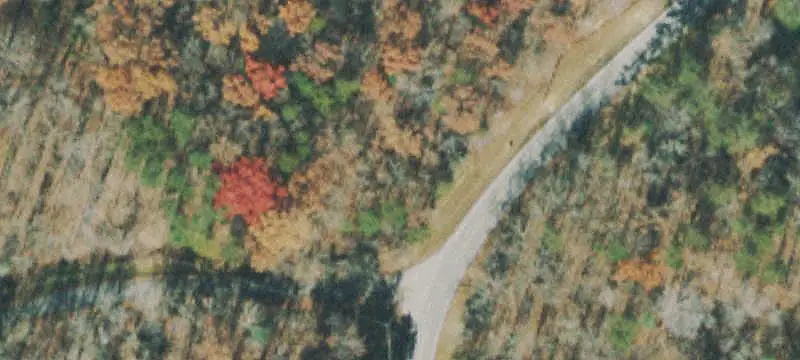 Wooded Home Lot