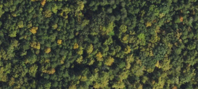 Recreation and Timber Land Parcel