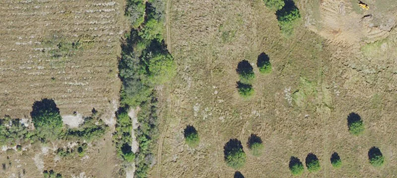 Arable Farmland Tract