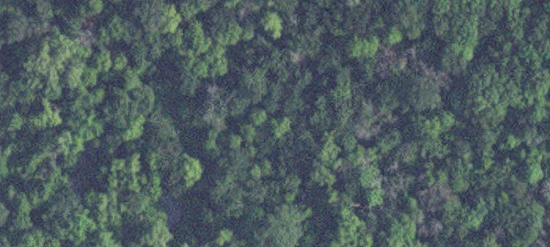 Agricultural Land Parcel