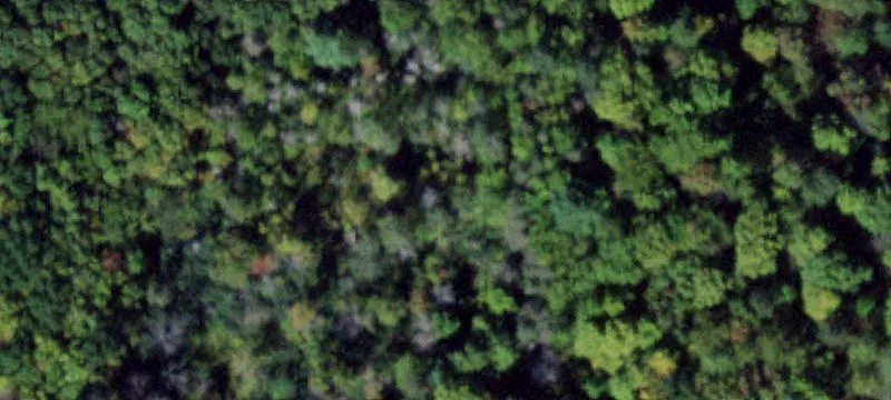 Recreational Land with Pole Barn