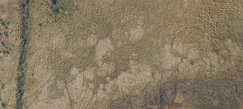 Agricultural Land Parcel