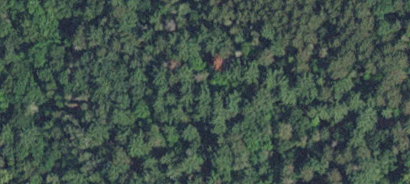 Waterfront Estate Land Parcel